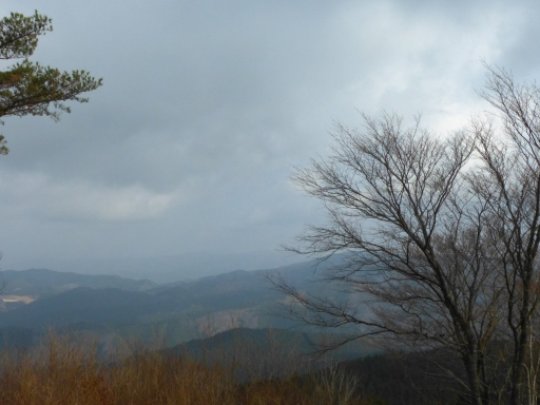 画像18